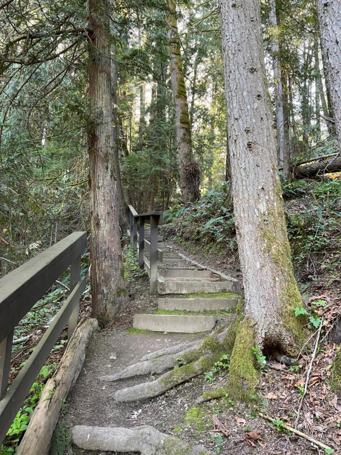 Sea And Cedar Retreat-A Home In A Tranquil Setting Cowichan Bay Eksteriør bilde